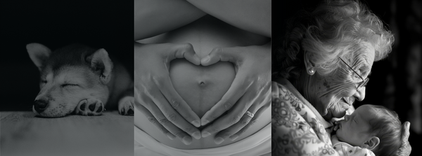 Von den Sternen getragen – Ein stiller Begleiter für dein Herz