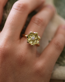 Ringe