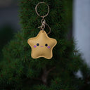 Weihnachtsstern